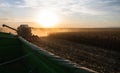 Combine harvester in evening action Royalty Free Stock Photo