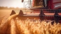 Combine harvester gathers the wheat crop. Combines in the field. Harvesting the wheat. Agriculture. Royalty Free Stock Photo