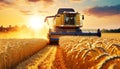 Combine Harvester in a Golden Wheat Field at Sunset - Generative Ai Royalty Free Stock Photo