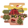 Combine harvester and tractor are harvest the coffee berries on plantation Royalty Free Stock Photo