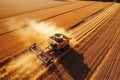 combine harvester harvesting crop wheat grain from field in summer at sunset. Top view. Generative AI Royalty Free Stock Photo