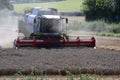 Combine Harvester Harvesting Wheat, Forncett, Norfolk, England, UK Royalty Free Stock Photo