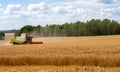 Combine harvester harvests gold wheat in field Royalty Free Stock Photo