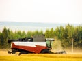 Combine harvester harvests grain on the field