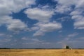 Combine harvester harvests ripe wheat. Ripe ears of gold field on the cloudy sky background. . Concept of a rich harvest. Royalty Free Stock Photo