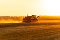 Combine harvester harvests ripe wheat. Combine harvester working in field. Concept of a rich harvest. Rural field at sunset Royalty Free Stock Photo