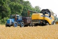 Combine harvester load wheat in the tractor trailer Royalty Free Stock Photo