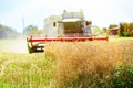 Combine harvester machine harvesting ripe wheat crop Royalty Free Stock Photo