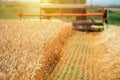 Combine harvester machine harvesting ripe wheat crops Royalty Free Stock Photo