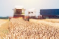 Combine harvester machine harvesting ripe wheat crops Royalty Free Stock Photo