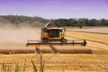 Combine harvester machine harvesting ripe wheat crops