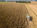 Combine harvester picking seed from fields, aerial view of a field with a combine harvester with cornhusker gathering the crop Royalty Free Stock Photo