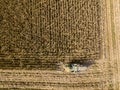 Combine harvester picking seed from fields, aerial view of a field with a combine harvester with cornhusker gathering the crop