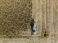 Combine harvester picking seed from fields, aerial view of a field with a combine harvester with cornhusker gathering the crop