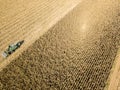 Combine harvester picking seed from fields, aerial view of a field with a combine harvester with cornhusker gathering the crop