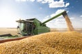 Unloading corn maize seeds