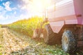 Combine harvester in process of harvesting maize