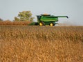 Combine Harvester scooping up corn stalks in field