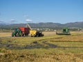 Combine harvester and tractors harvesting a mature rice field