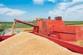 Combine harvester unloads wheat grain into the tractor trailer. Royalty Free Stock Photo