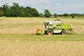 Combine harvester in wheat field during harvesting Royalty Free Stock Photo