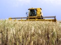 Combine harvester on a wheat field,
