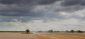 Combine Harvester at work under a heavy sky. Royalty Free Stock Photo