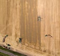 Combine harvester working in golden wheat field