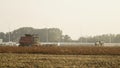 Combine Harvester Working And Harvesting Crops In The Agricultural Fields In Poland. - wide shot Royalty Free Stock Photo