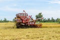 Combine harvester Working on rice field. Harvesting is the process of gathering a ripe crop from the fields Royalty Free Stock Photo