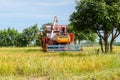 Combine harvester Working on rice field. Harvesting is the process of gathering a ripe crop from the fields Royalty Free Stock Photo