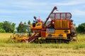 Combine harvester Working on rice field. Harvesting is the process of gathering a ripe crop from the fields Royalty Free Stock Photo