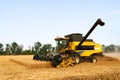 Combine harvester working in wheat field with clear blue sky. Harvesting machine driver cutting crop in a farmland Royalty Free Stock Photo