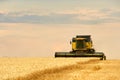 Combine harvester working in wheat field with cloudy moody sky. Harvesting machine driver cutting crop in a farmland Royalty Free Stock Photo