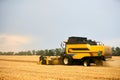 Combine harvester working in wheat field with cloudy moody sky. Harvesting machine driver cutting crop in a farmland Royalty Free Stock Photo