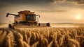 Combine harvester working on wheat field. Harvesting concept Royalty Free Stock Photo