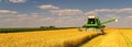 Combine harvester working on the wheat field