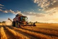 Combine harvester working on a wheat field at sunset. A busy farmer harvesting crops in the field under the intense afternoon sun