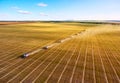 Combine harvesters agricultural machines collecting golden wheat on the field. View from above. Royalty Free Stock Photo