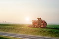 Combine harvesters harvest of sugar beet at summer morning