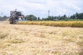 Combine harvesters machine harvesting paddy