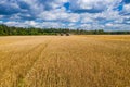 Combine harvesters reaping the grain