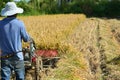 Combine Harvesters rice