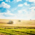 Combine Harvesters on a Wheat Field