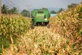 Combine harvesters are working in corn fields. Harvesting of corn field with combine in early autumn. Royalty Free Stock Photo