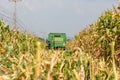 Combine harvesters are working in corn fields. Harvesting of corn field with combine in early autumn. Royalty Free Stock Photo