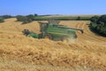 Combine harvesting crop