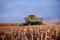 Combine harvesting cutting the autumn maize crop