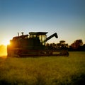 Combine harvesting ripe golden wheat as the sun sets Royalty Free Stock Photo