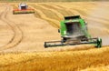 Combine harvesting wheat